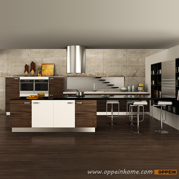 Stylish Acrylic Kitchen Cabinets