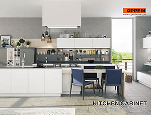 Kitchen Cabinets01