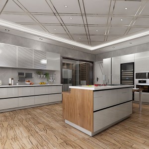 Popular-Kitchen-Design-With-Storage-Cast-OP20-M01